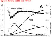 PHOTOBIOREACTOR
