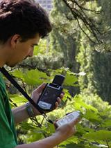 PLANTPEN - HANDHELD CHLOROPHYLL SPECTROMETER (PRI VERSION)