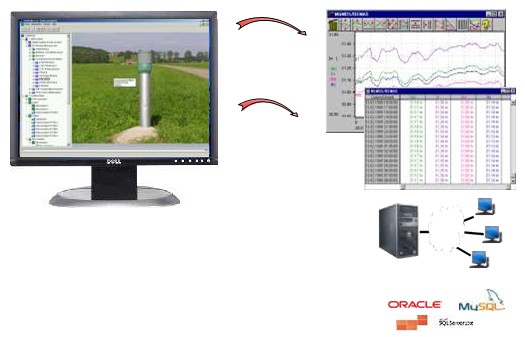 Groundwater Survey - Online