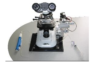 BIO-IM(NMT)